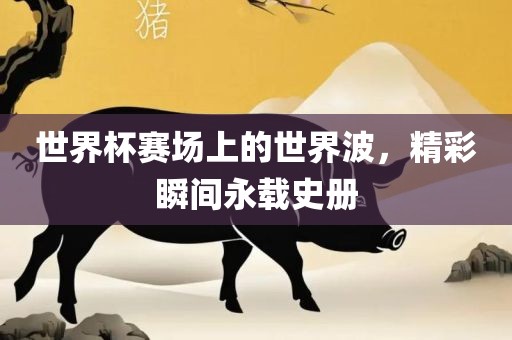 世界杯赛场上的世界波，精彩瞬间永载史册
