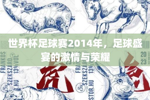 世界杯足球赛2014年，足球盛宴的激情与荣耀
