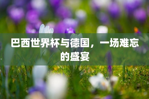 巴西世界杯与德国，一场难忘的盛宴
