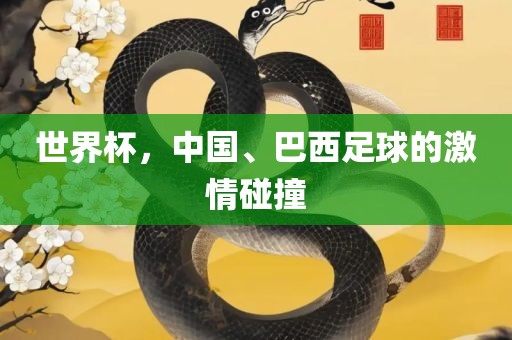 世界杯，中国、巴西足球的激情碰撞衡水勇创橡塑制品有限公司