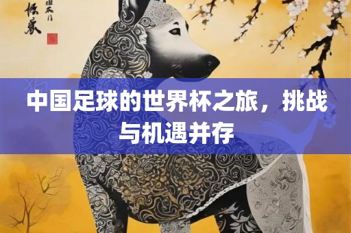 中国足球的世界杯之旅，挑战与机遇并存