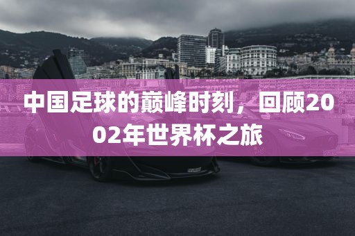 中国足球的巅峰时刻，回顾2002年世界杯之旅衡水勇创橡塑制品有限公司