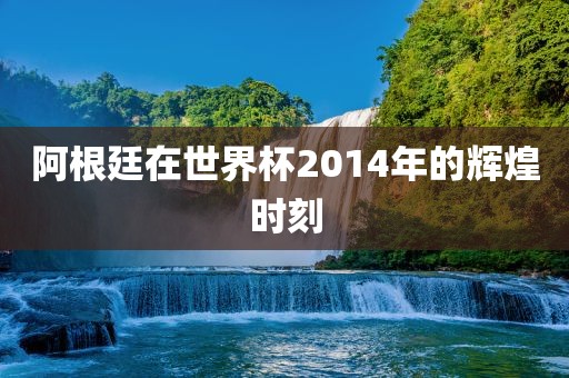 阿根廷在世界杯2014年的辉煌时刻