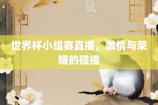 世界杯小组赛直播，激情与荣耀的碰撞