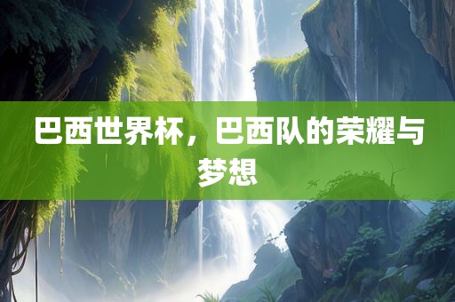 巴西世界杯，巴西队的荣耀与梦想