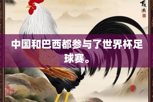 中国和巴西都参与了世界杯足球赛。