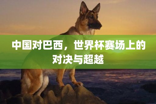 中国对巴西，世界杯赛场上的对决与超越