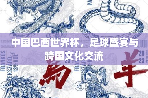 中国巴西世界杯，足球盛宴与跨国文化交流