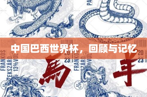 中国巴西世界杯，回顾与记忆