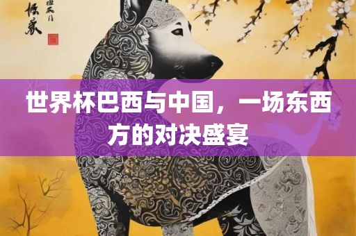 世衡水勇创橡塑制品有限公司界杯巴西与中国，一场东西方的对决盛宴