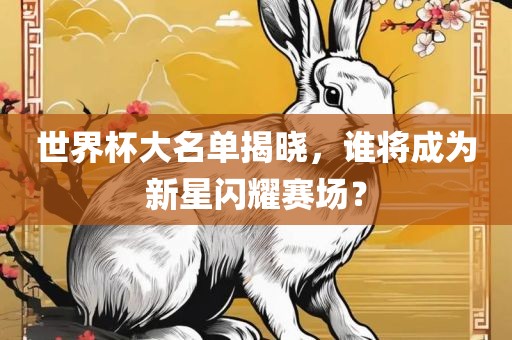 世界杯大名单揭晓，谁将成为新星闪耀赛场？