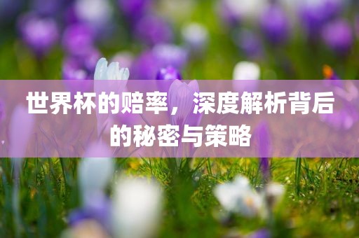 世界杯的赔率，深度解析背后的秘密与策略