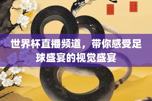 世界杯直播频道，带你感受足球盛宴的视觉盛宴