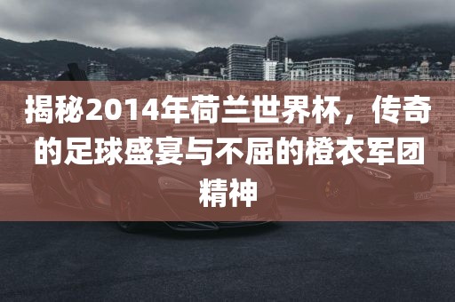 揭秘2014年荷兰世界杯，传奇的足球盛宴与不屈的橙衣军团精神