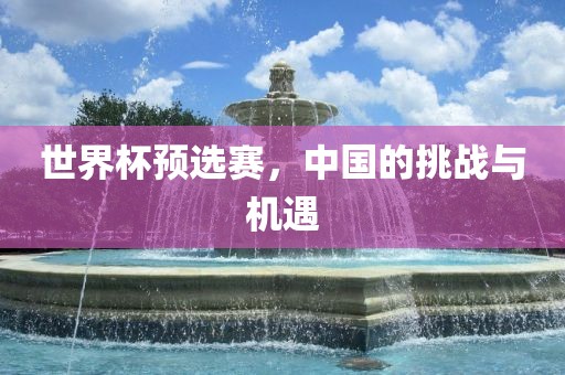 世界杯预选赛，中国的挑战与机遇