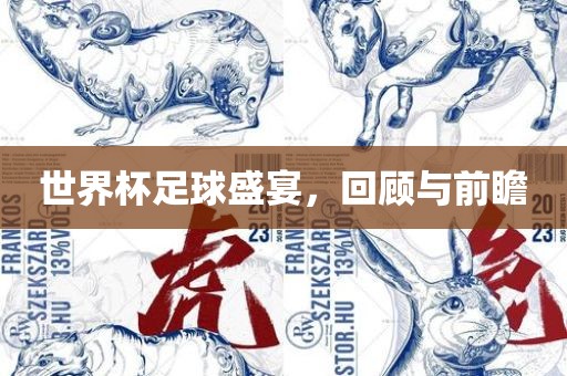 世界杯足球盛宴，回顾与前瞻