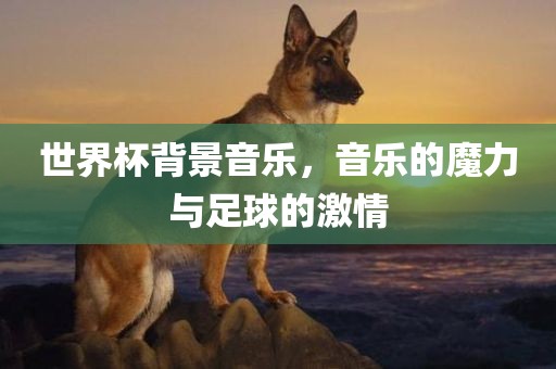 世界杯背景音乐，音乐的魔力与足球的激情