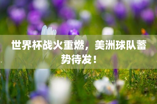 世界杯战火重燃，美洲球队蓄势待发！