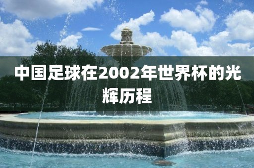 中国足球在2002年世界杯的光辉历程