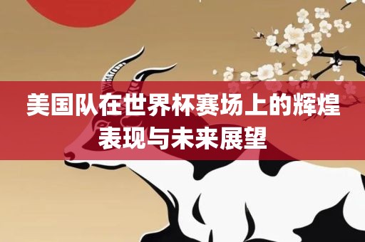 美国队在世界杯赛场上的辉煌表现与未来展望