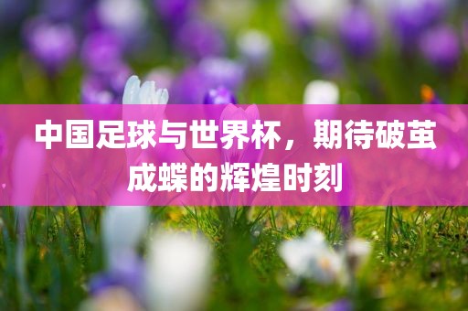 中国足球与世界杯，期待破茧成蝶的辉煌时刻