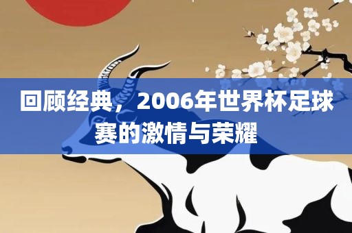 回顾经典，2006年世界杯足球赛的激情与荣耀