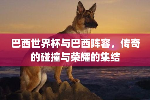 巴西世界杯与巴西阵容，传奇的碰撞与荣耀的集结