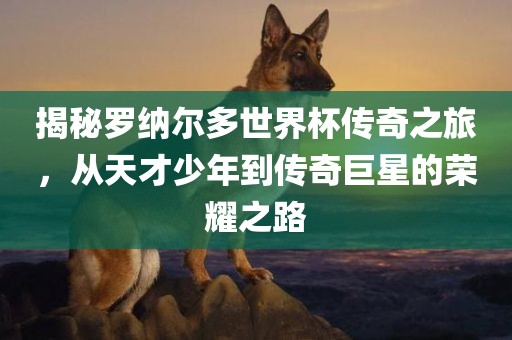 揭秘罗纳尔多世界杯传奇之旅，从天才少年到传奇巨星的荣耀之路