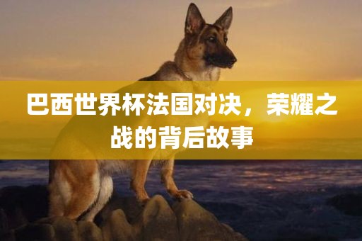 巴西世界杯法国对决，荣耀之战的背后故事