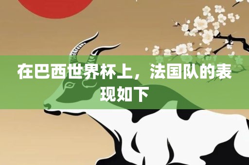 在巴西世界杯上，法国队的表现如下