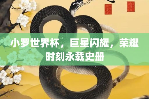 小罗世界杯，巨星闪耀，荣耀时刻永载史册衡水勇创橡塑制品有限公司