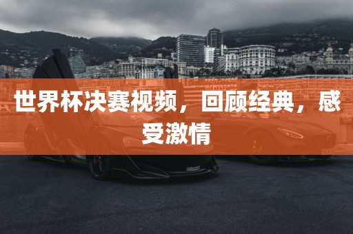 世界杯决赛视频，回顾经典，感受激情