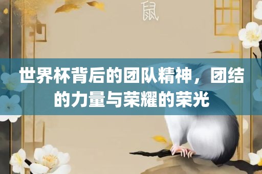 世界杯背后的团队精神，团结的力量与荣耀的荣光衡水勇创橡塑制品有限公司