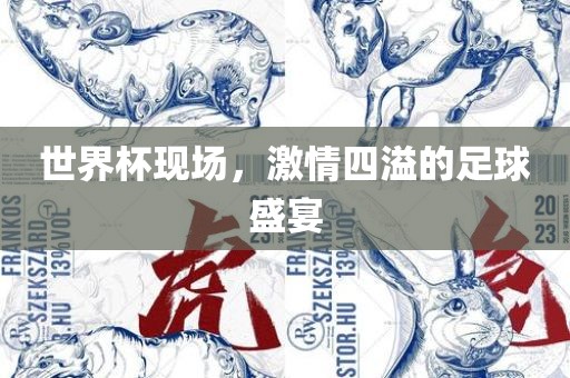 世界杯现场，激情四溢的足球盛宴衡水勇创橡塑制品有限公司