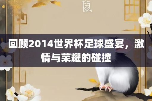 回顾2014世界杯足球盛宴，激情与荣耀的碰撞
