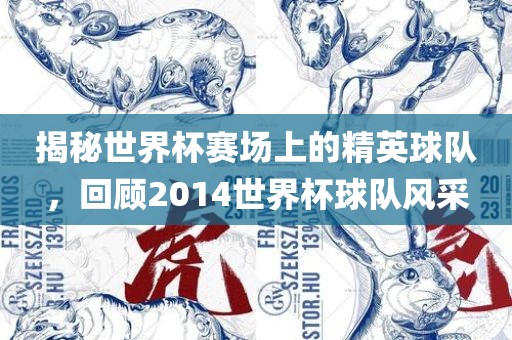 揭秘世界杯赛场上的精英球队，回顾2014世界杯球队风采