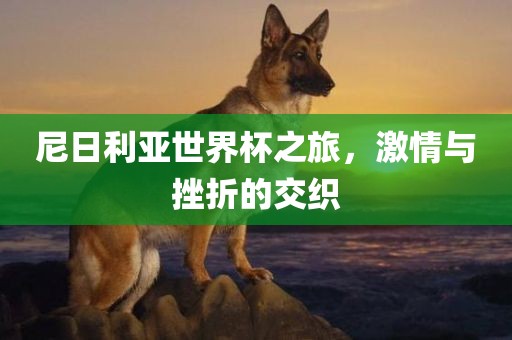 尼日利亚世界杯之旅，激情与挫折的交织