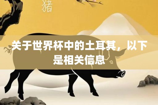 关于世界杯中的土耳其，以下是相关信息