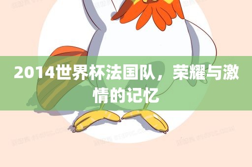 2014世界杯法国队，荣耀与激情的记忆