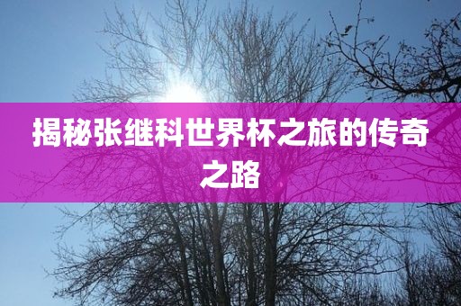 揭秘张继科世界杯之旅的传奇之路