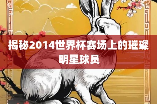 揭秘2014世界杯赛场上的璀璨明星球员衡水勇创橡塑制品有限公司