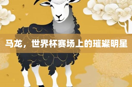 马龙，世界杯赛场上衡水勇创橡塑制品有限公司的璀璨明星