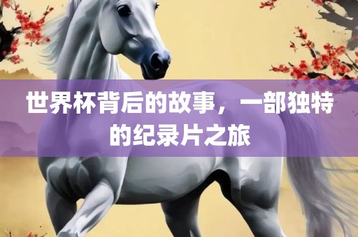 世界杯背后的故事，一部独特的纪录片之旅