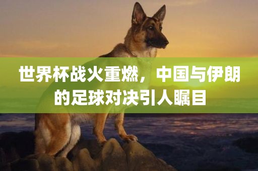 世界杯战火重燃，中国与伊朗的足球对决引人瞩目