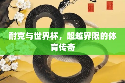 耐克与世界杯，超越界限的体育传奇衡水勇创橡塑制品有限公司