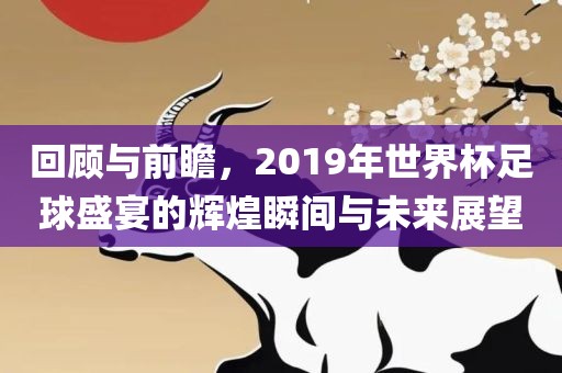 回顾与前瞻，2019年世界杯足球盛宴的辉煌瞬间与未来展望