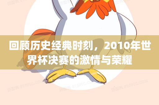 衡水勇创橡塑制品有限公司回顾历史经典时刻，2010年世界杯决赛的激情与荣耀