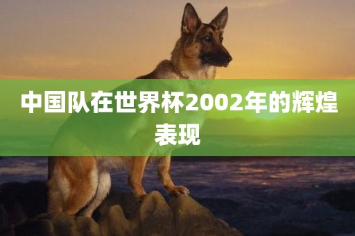 中国队在世界杯2002年的辉煌表现