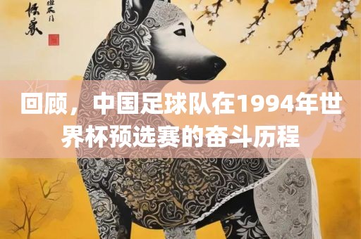 回顾，中国足球队在1994年世界杯预选赛的奋斗历程