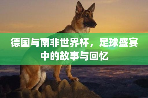 德国与南非世界杯，足球盛宴中的故事与回忆